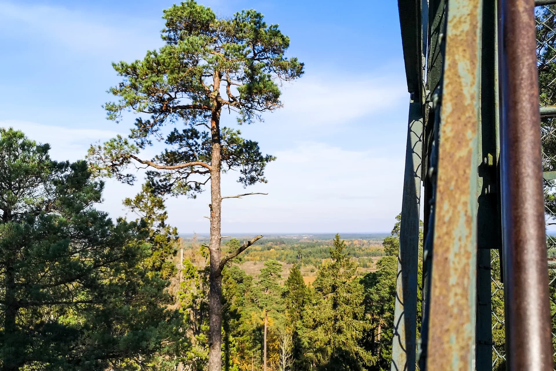 IMG_20211009_132340_1