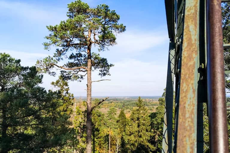 IMG_20211009_132340_1