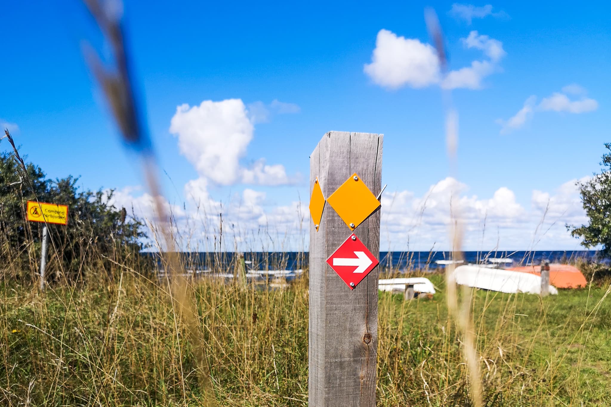 IMG_20210904_141029_1