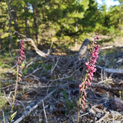 1-IMG_20200720_080944