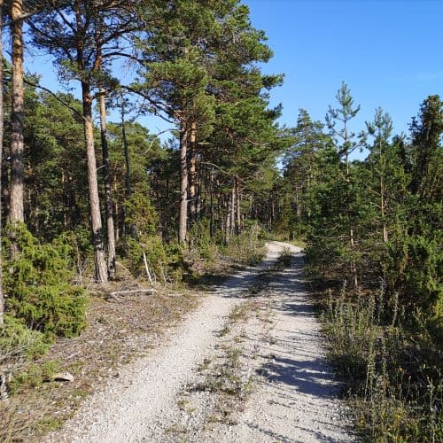 1-IMG_20200720_081008