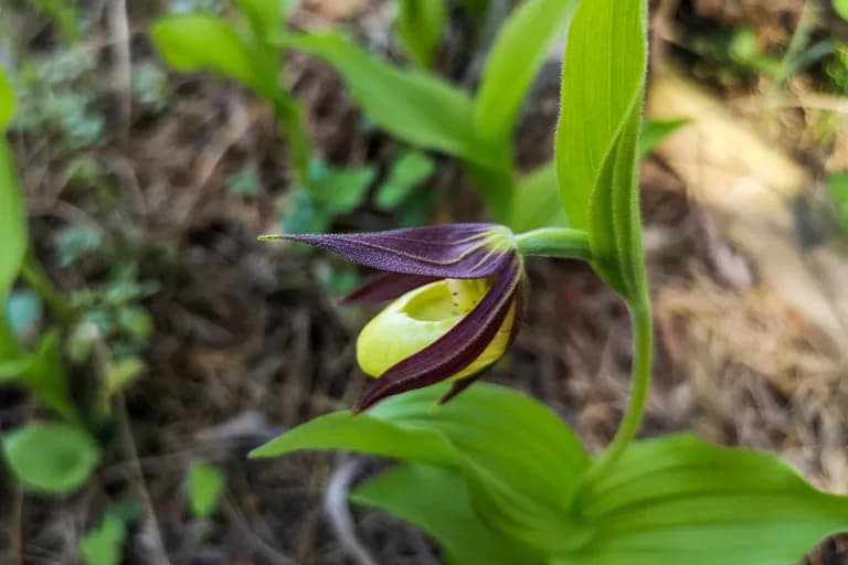 IMG_20210530_114717-2