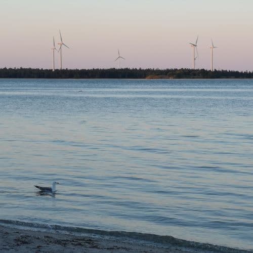 1-IMG_20200720_094512