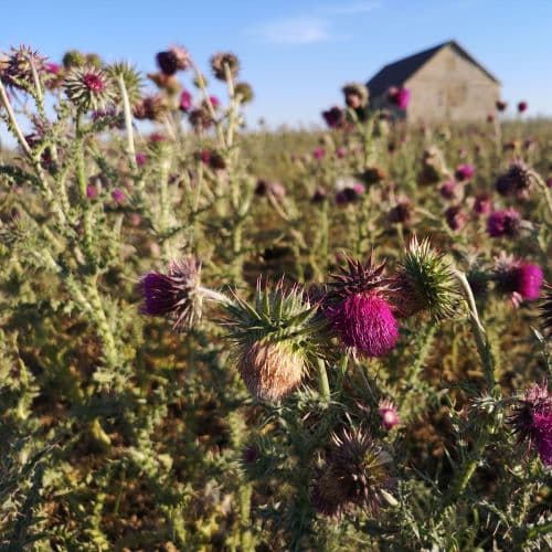 1-IMG_20200720_094342