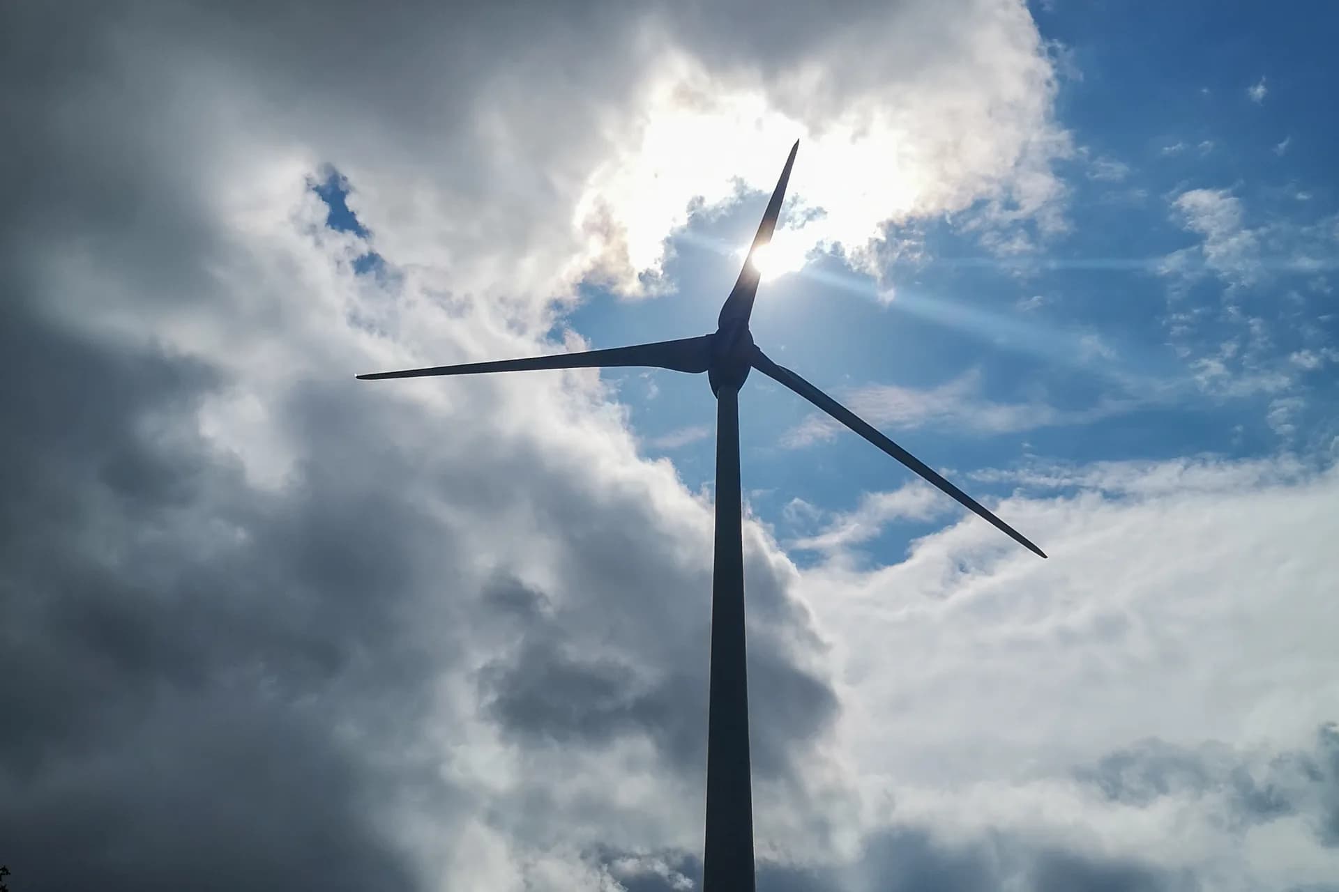 IMG_20210428_123529_4