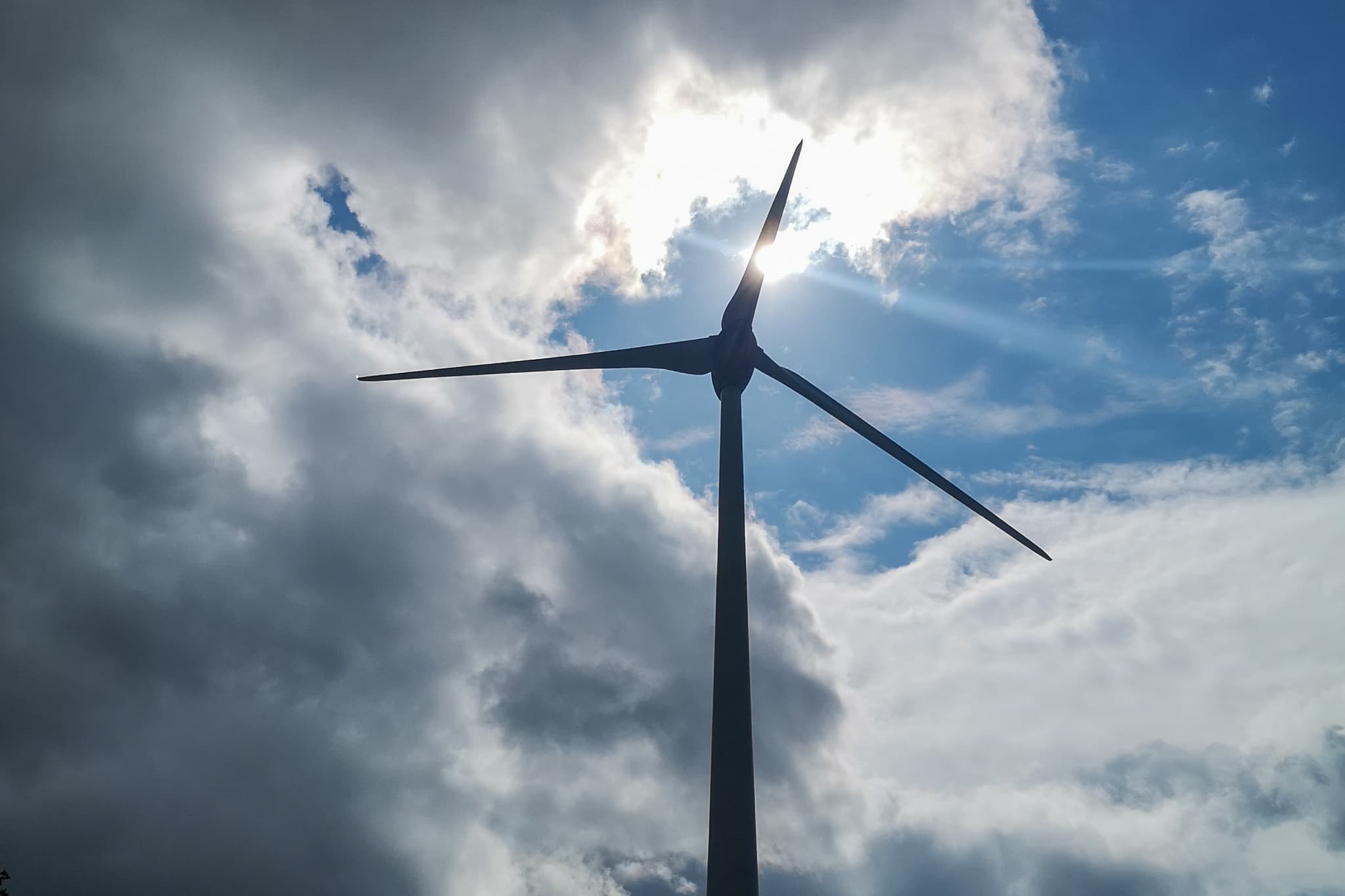 IMG_20210428_123529_4