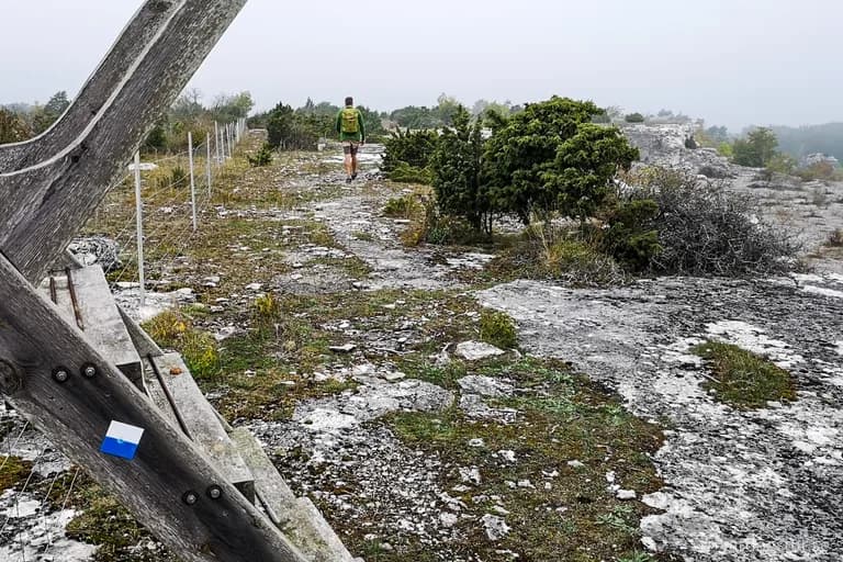 wp-16509862218432935813910396488886