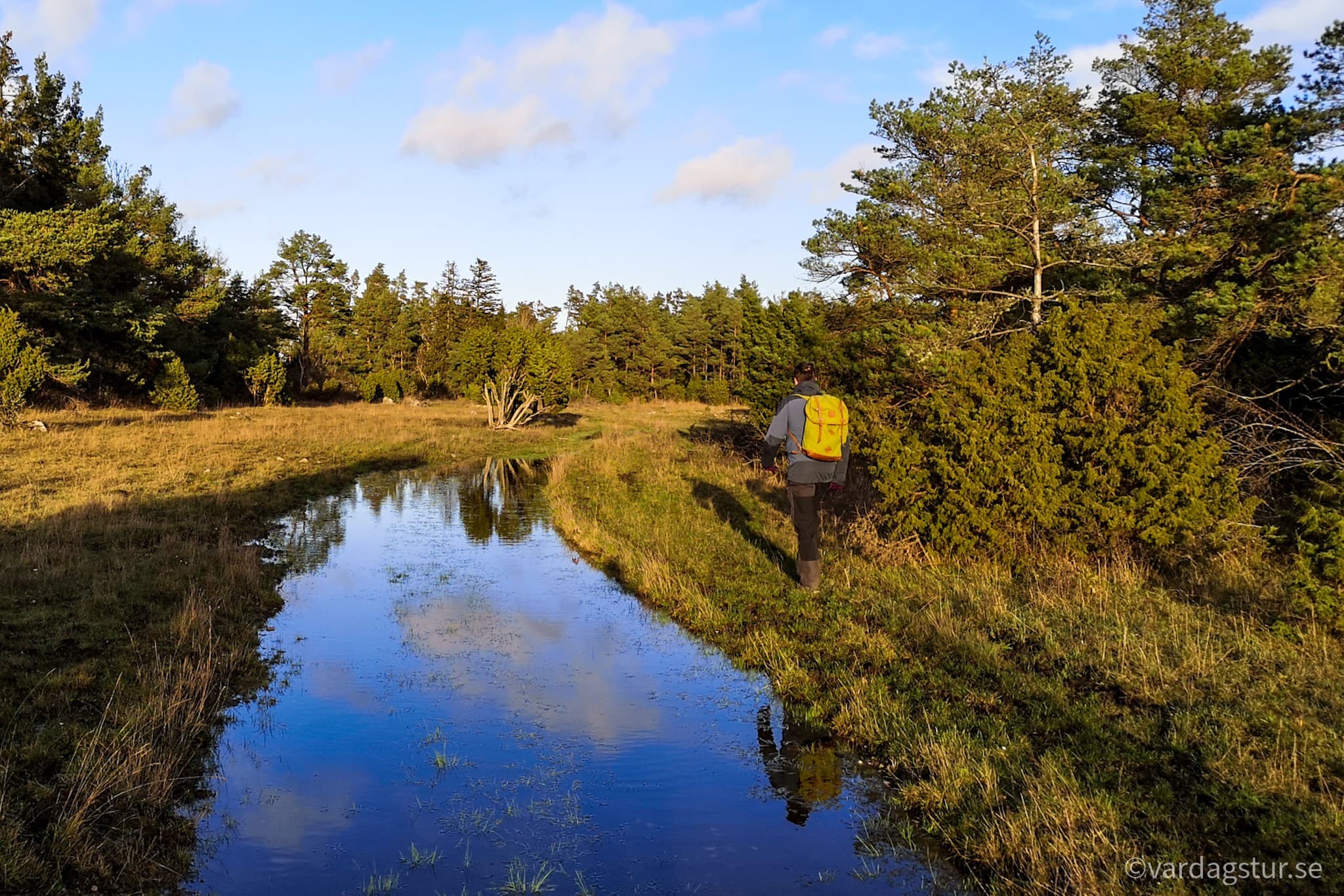 wp-1650986222352908154407390516821