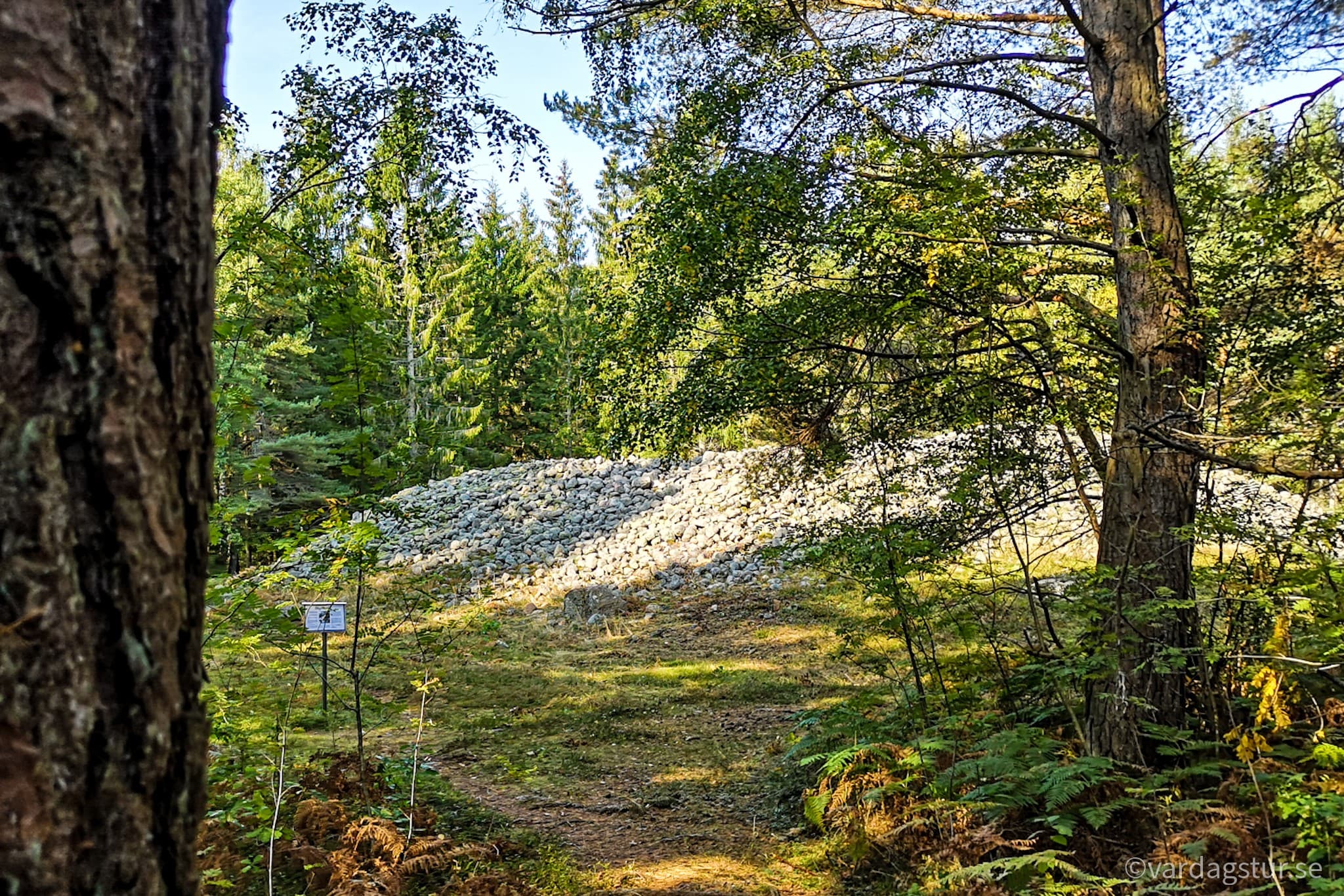 wp-16509862229342684017997703715365