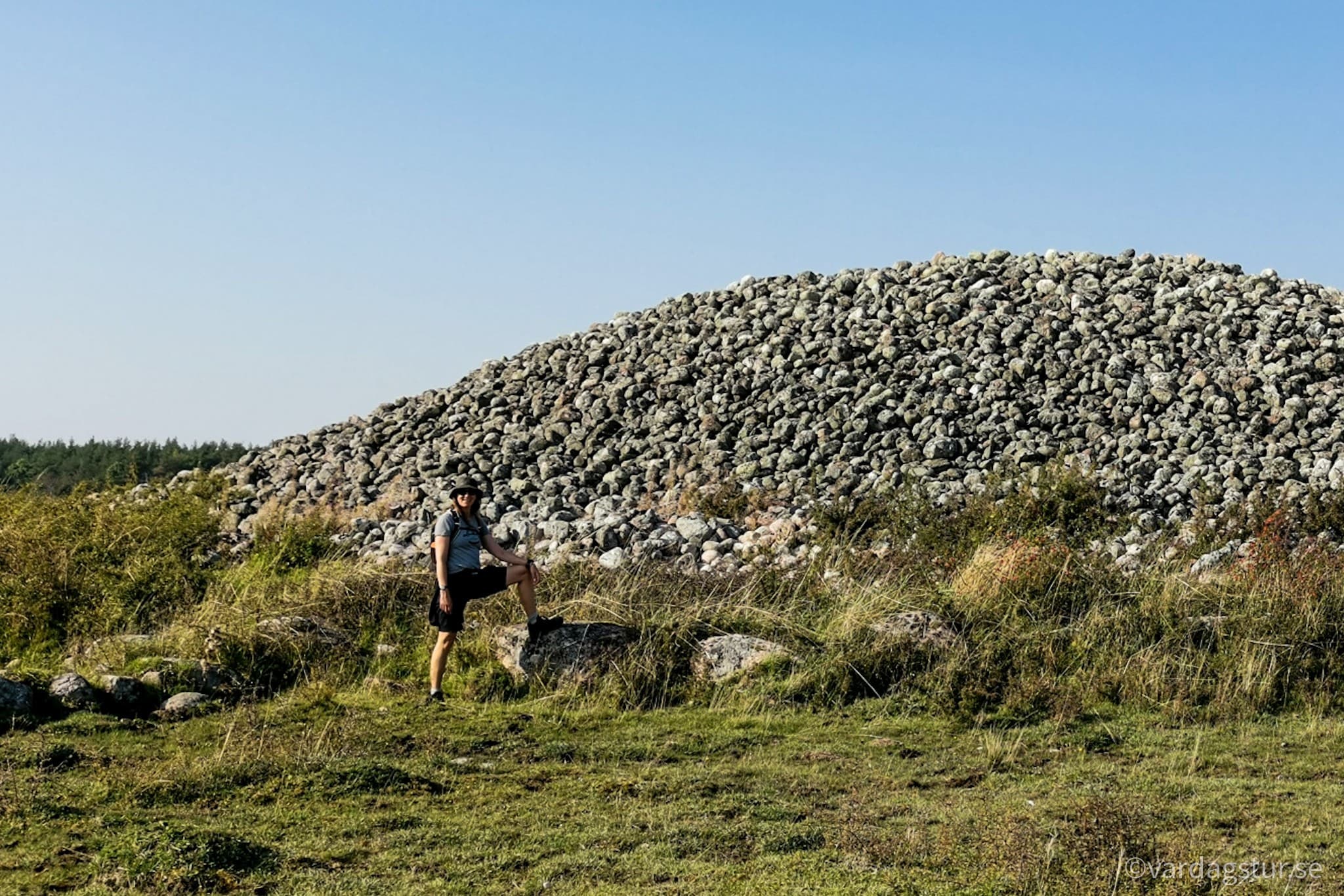 wp-16509862232618792554219137253540