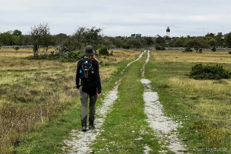 wp-16509862239448744459016359316928