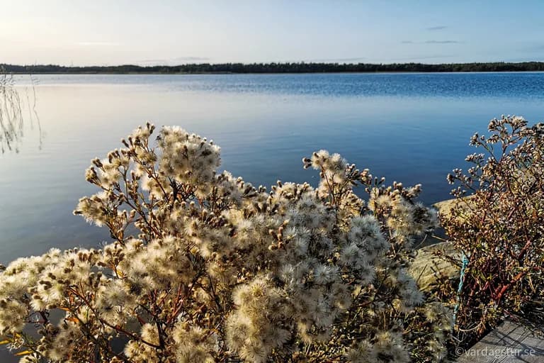 wp-16509862246721002306290144107692