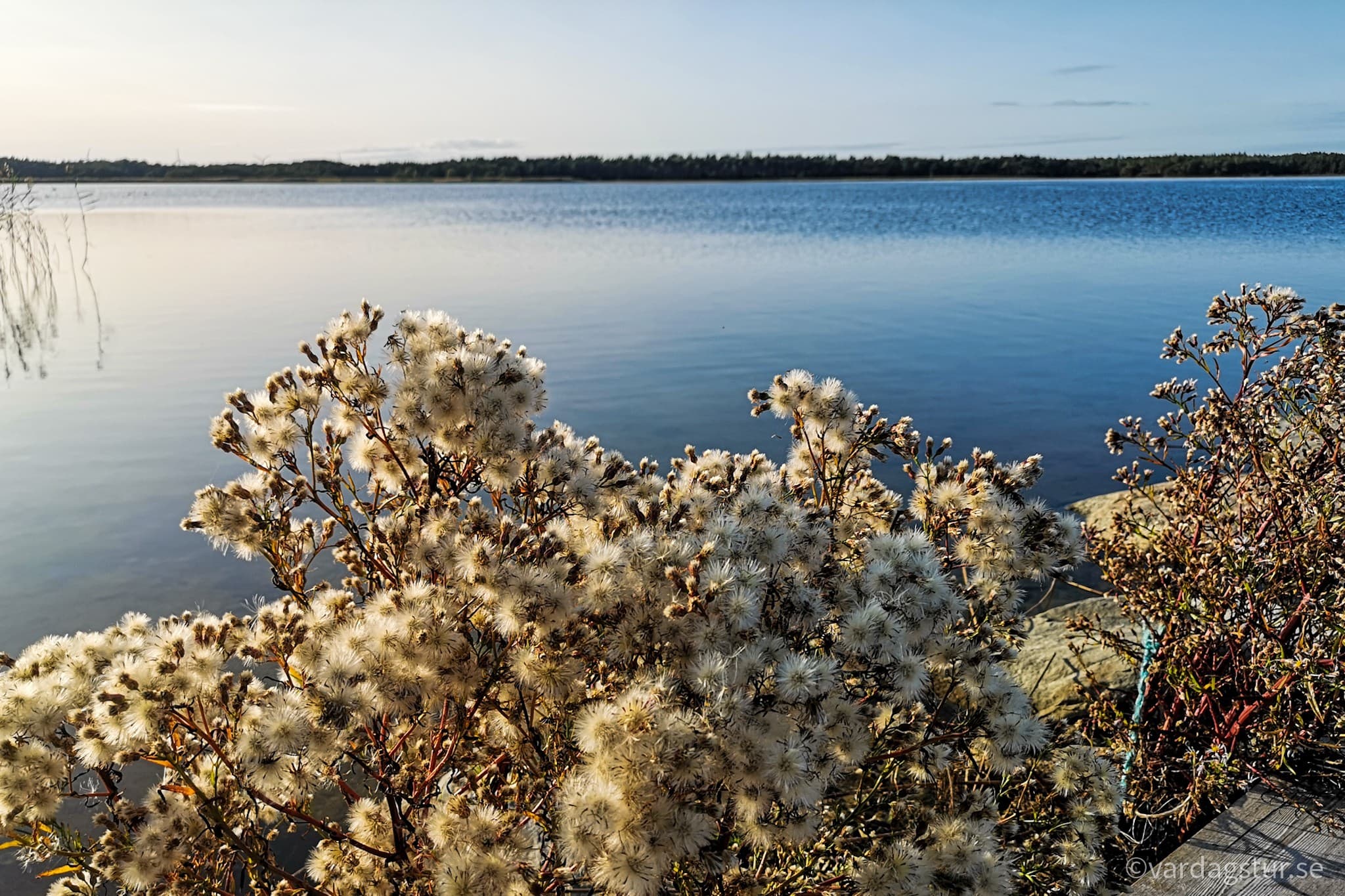 wp-16509862246721002306290144107692