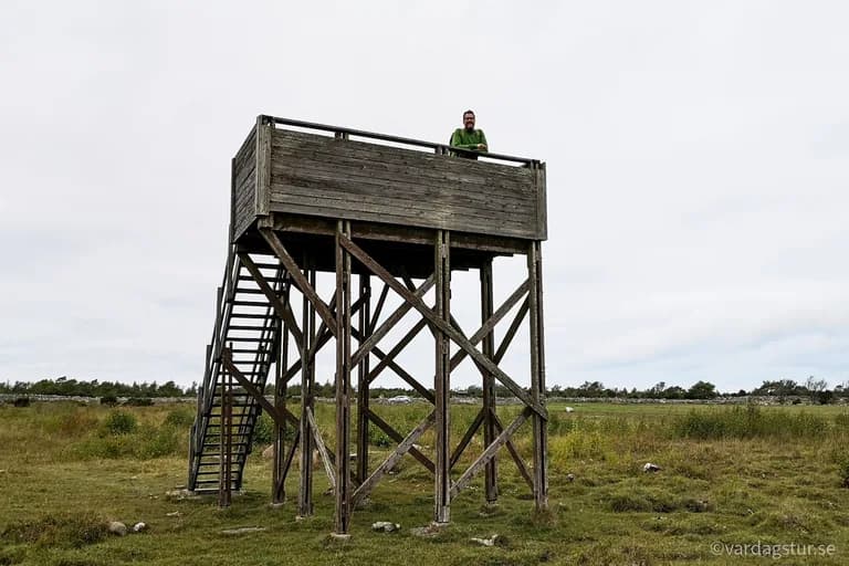 wp-16509862249096679256639849007093