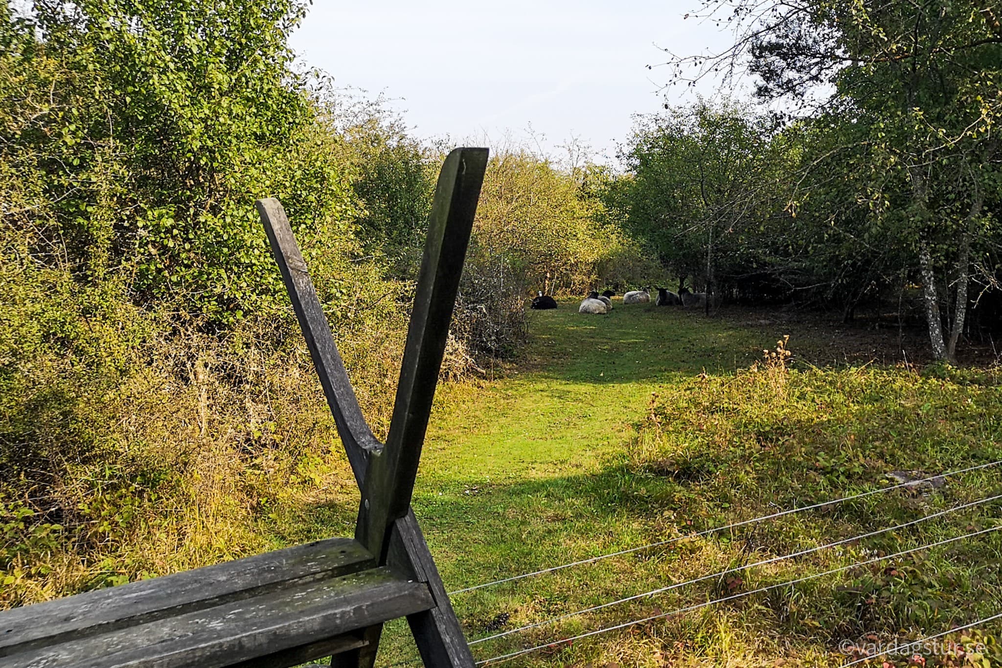 wp-16509862251096993141524556893044