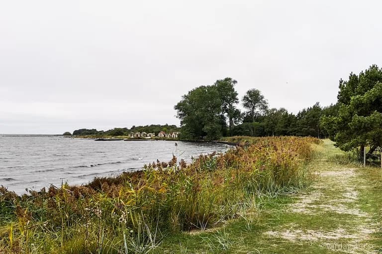 wp-16509862254096677966836967871262