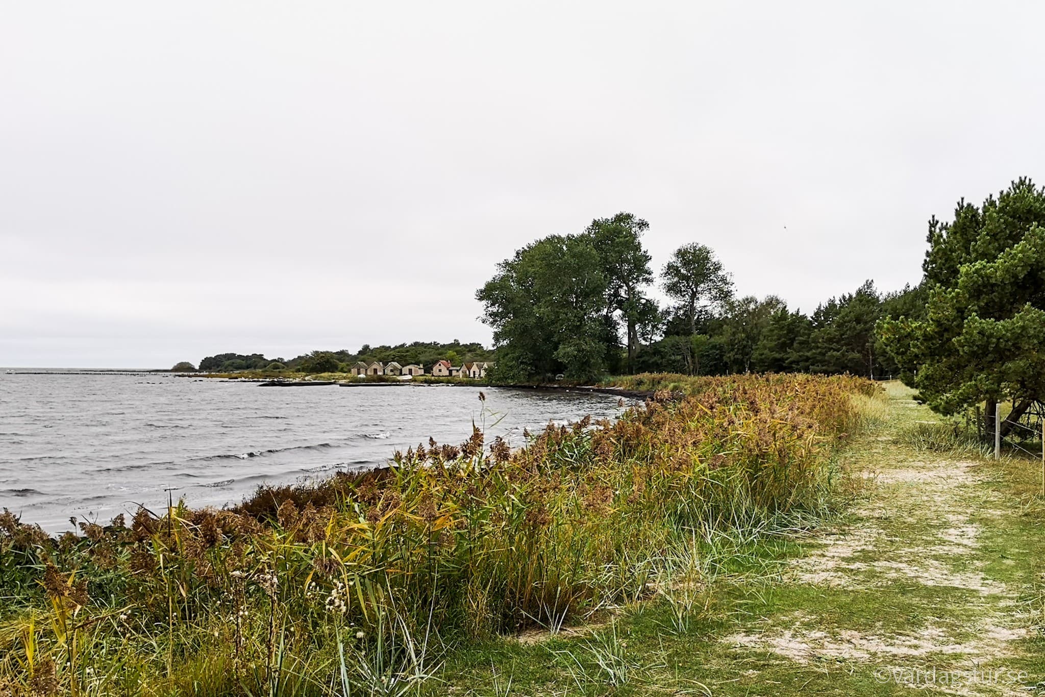 wp-16509862254096677966836967871262