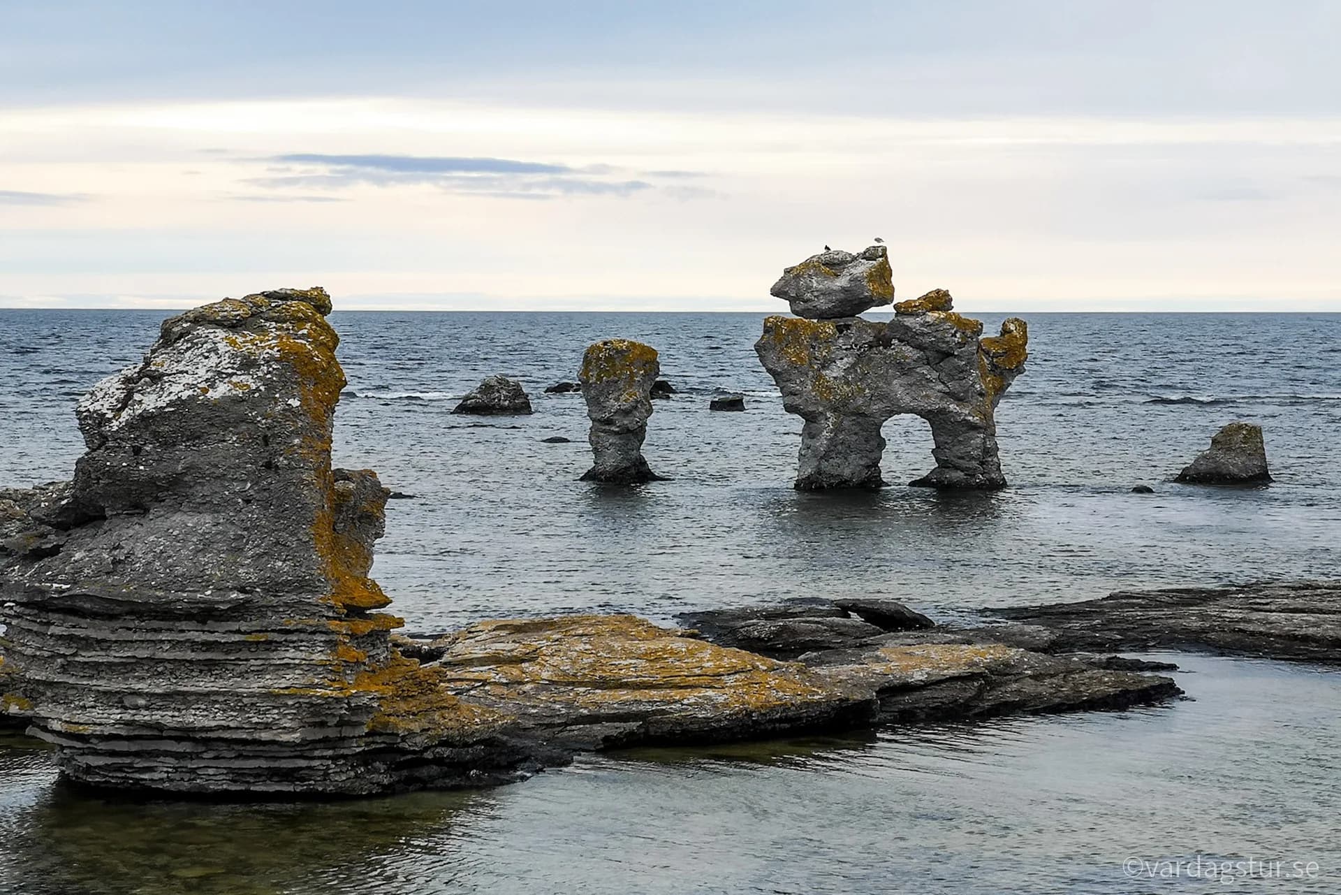 wp-1650986320353500730898968169360