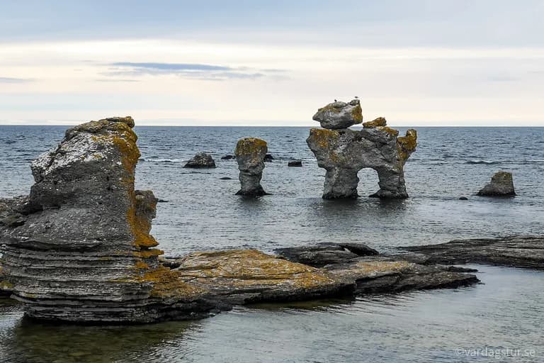 wp-1650986320353500730898968169360