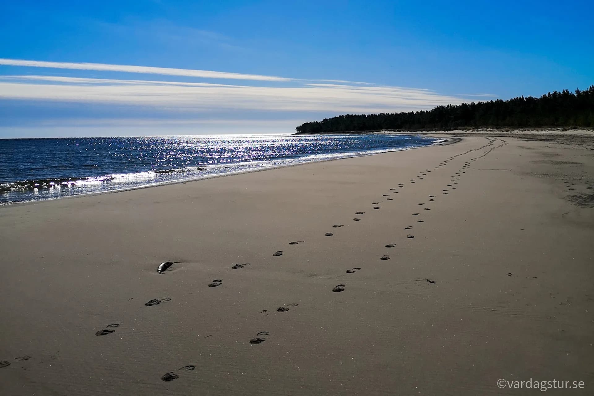 wp-16509863212302014033365848452279