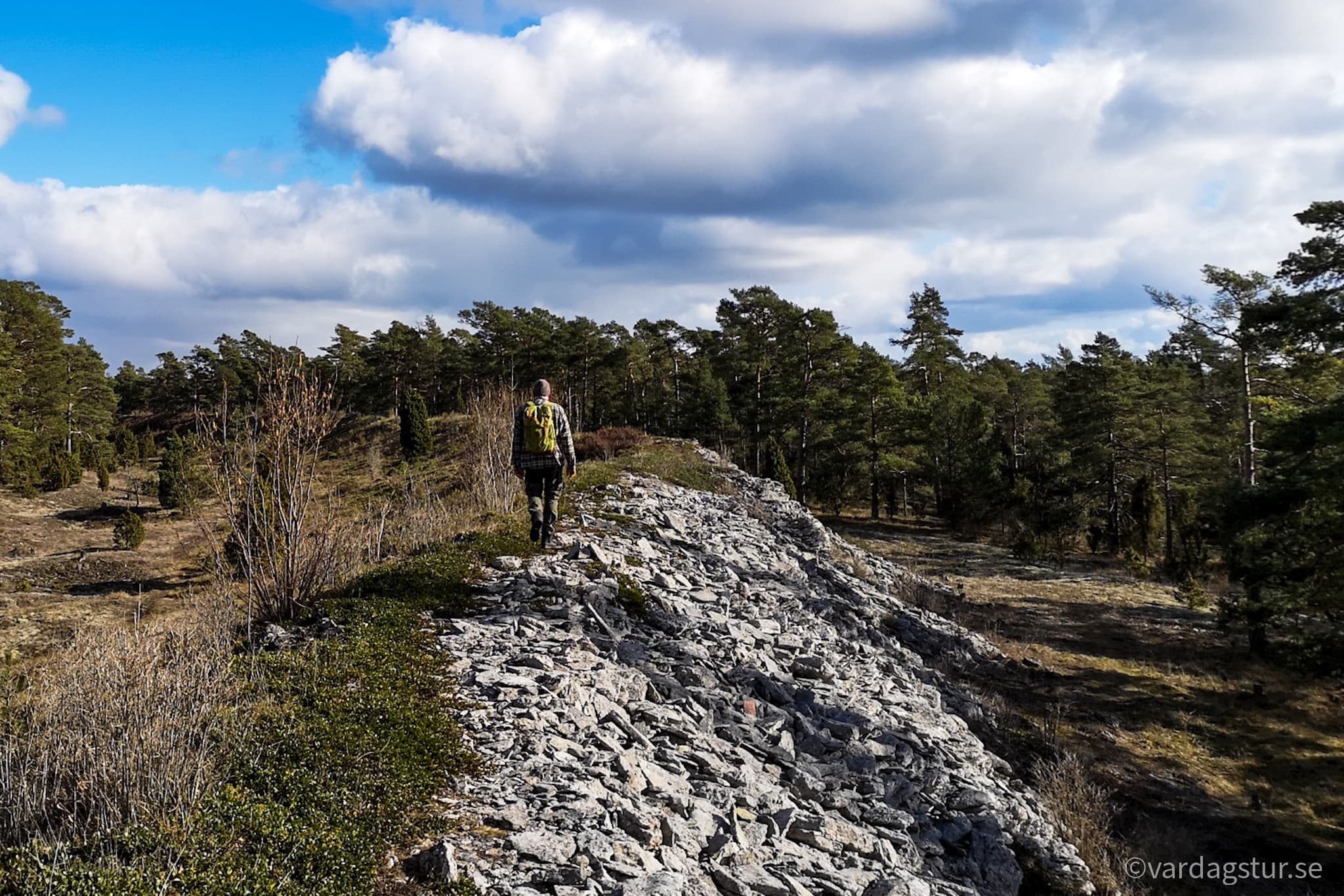 wp-16509863205093503774457977604315