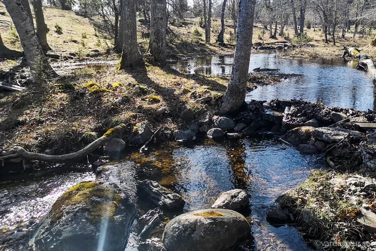 wp-16509863206697731514352489035317