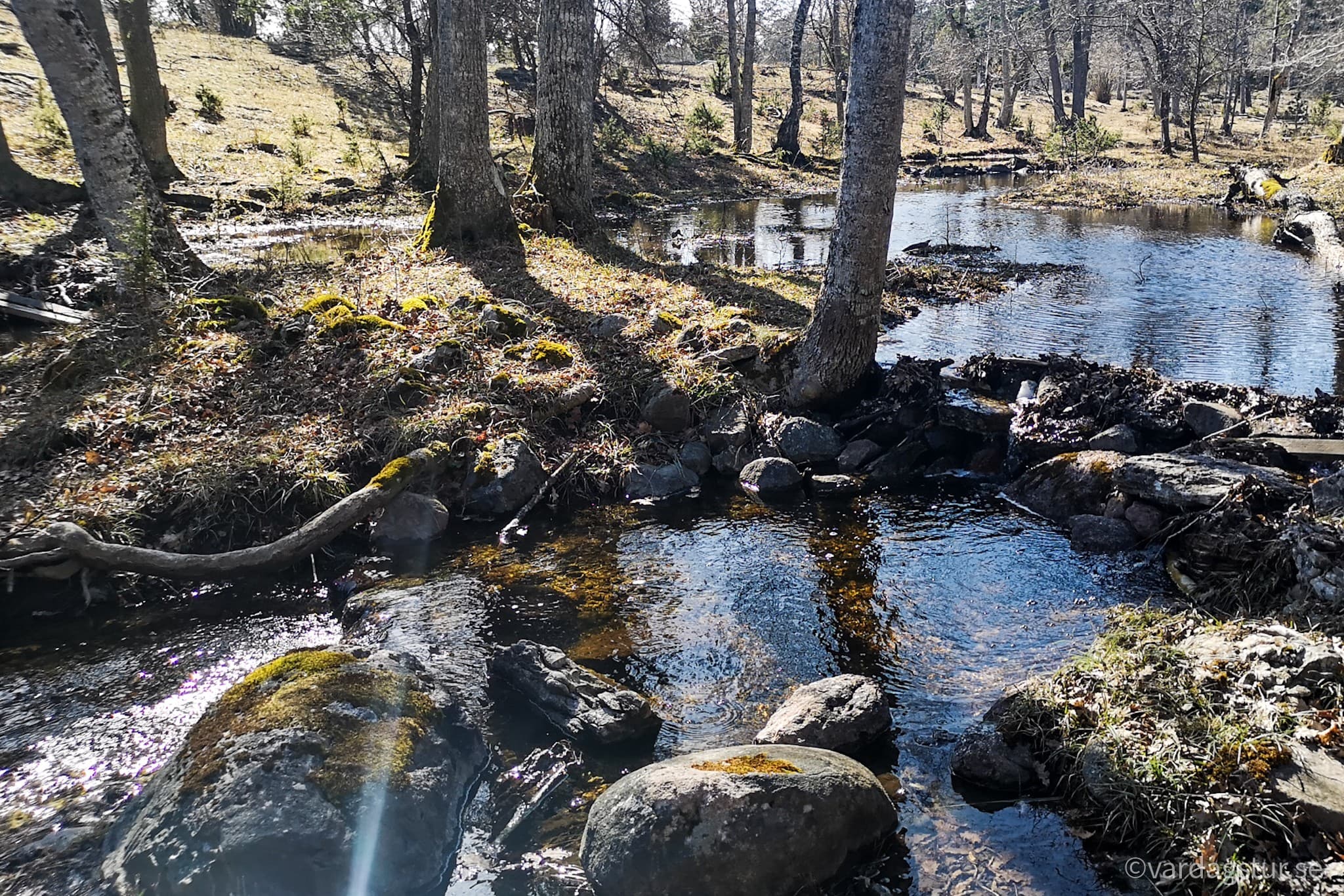 wp-16509863206697731514352489035317