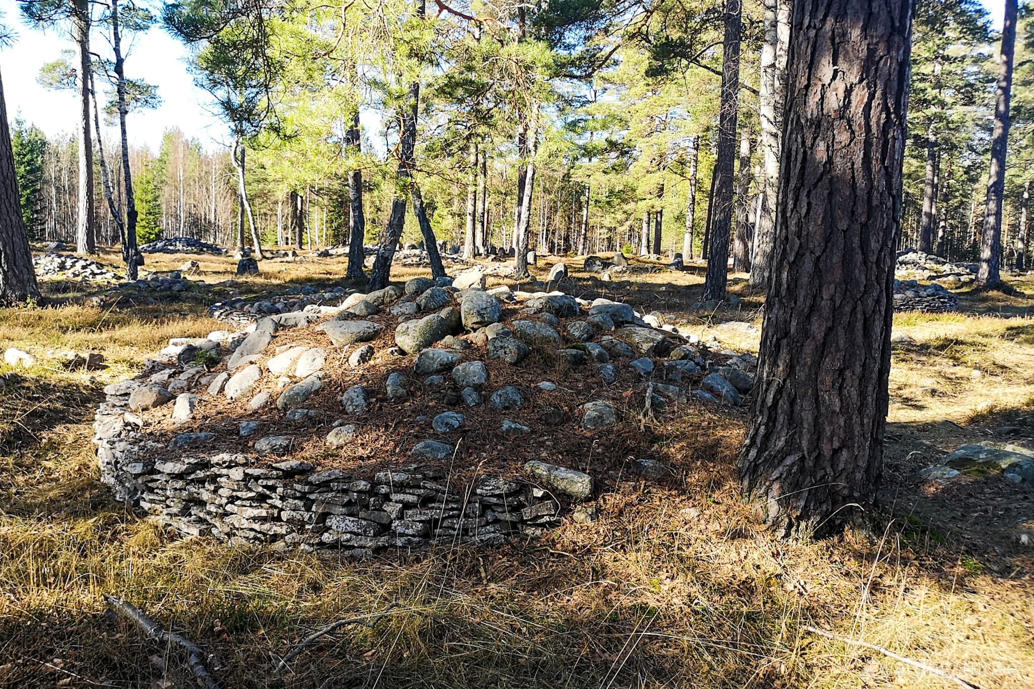 wp-16509863209327570955914612339209