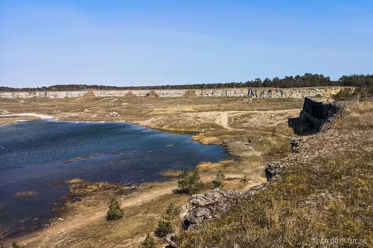 wp-16509863214167767794261223318709