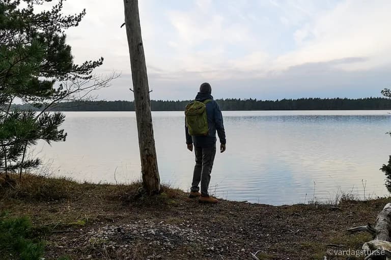 wp-16509863218375185146584928140257