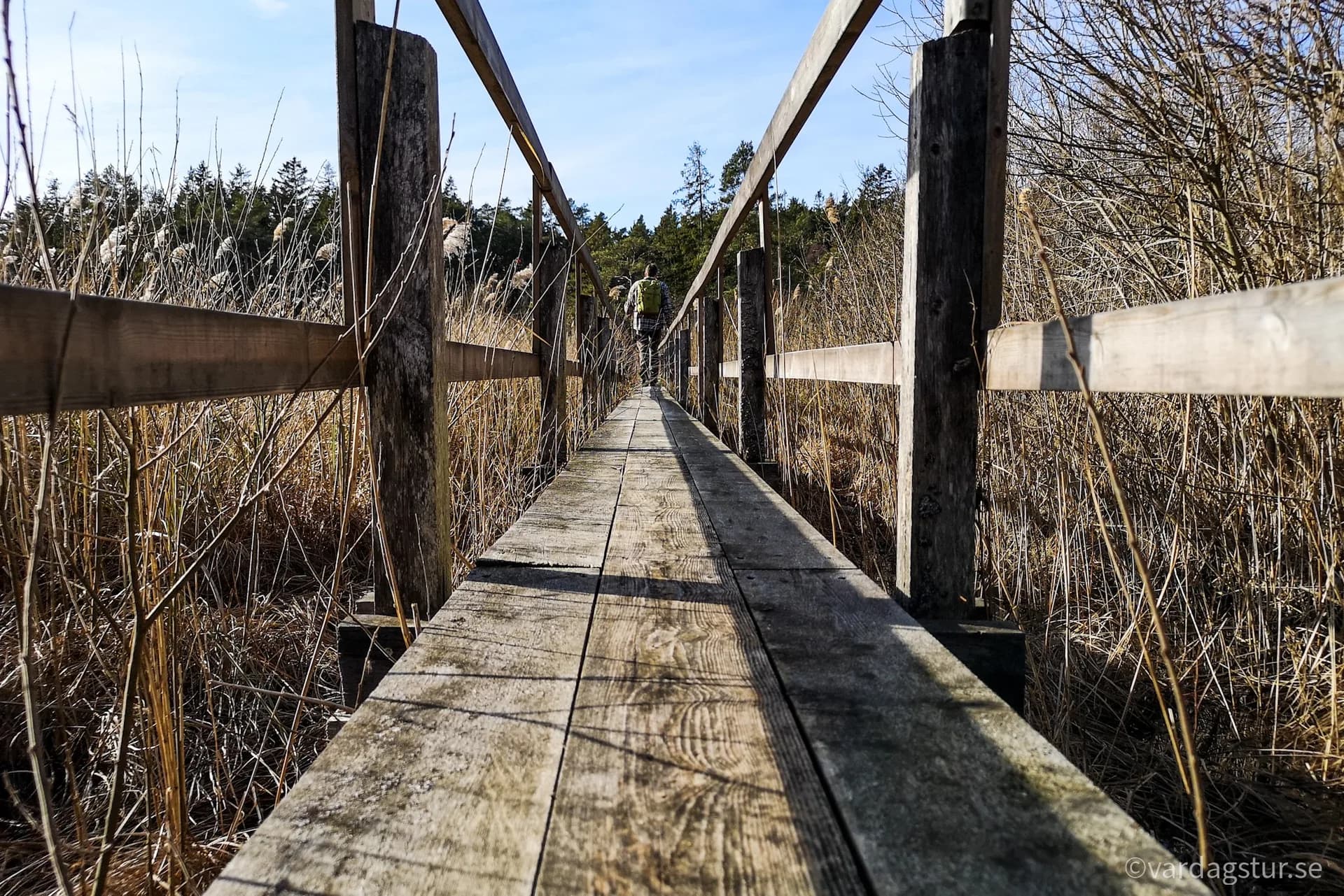 wp-16509978710246638881786301259793