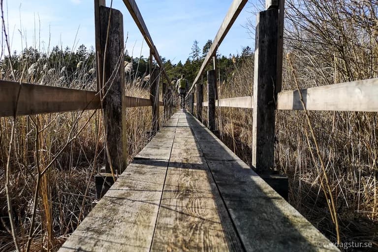 wp-16509978710246638881786301259793