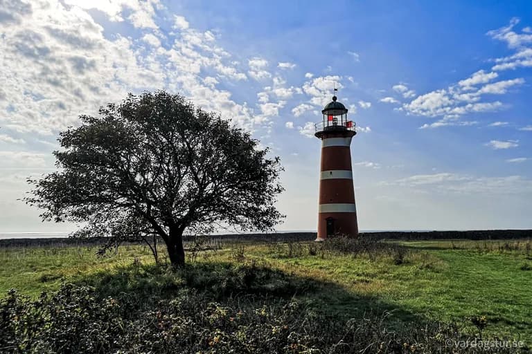 wp-16510728721763588067934603906522