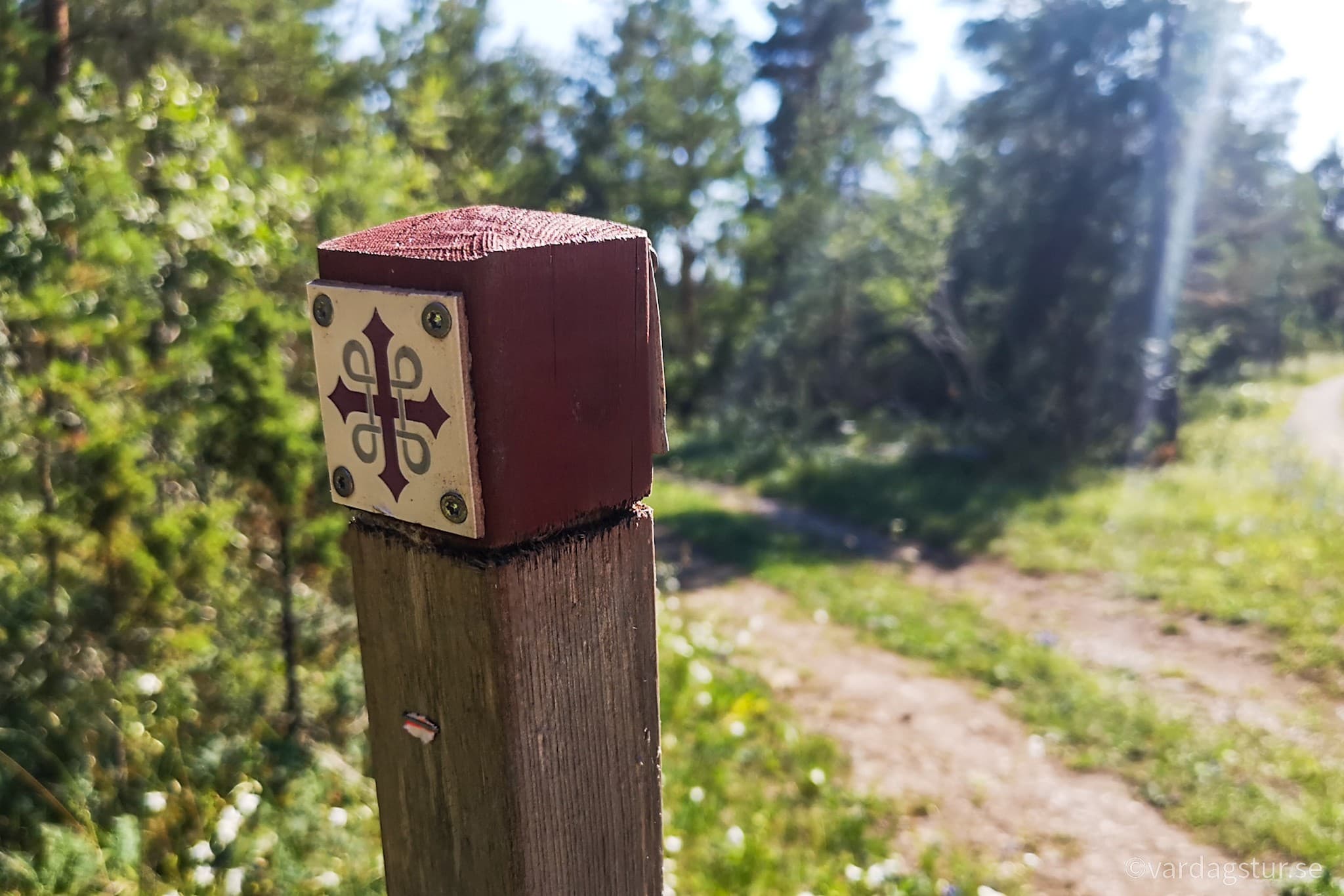 wp-16511685333494406109652705054565