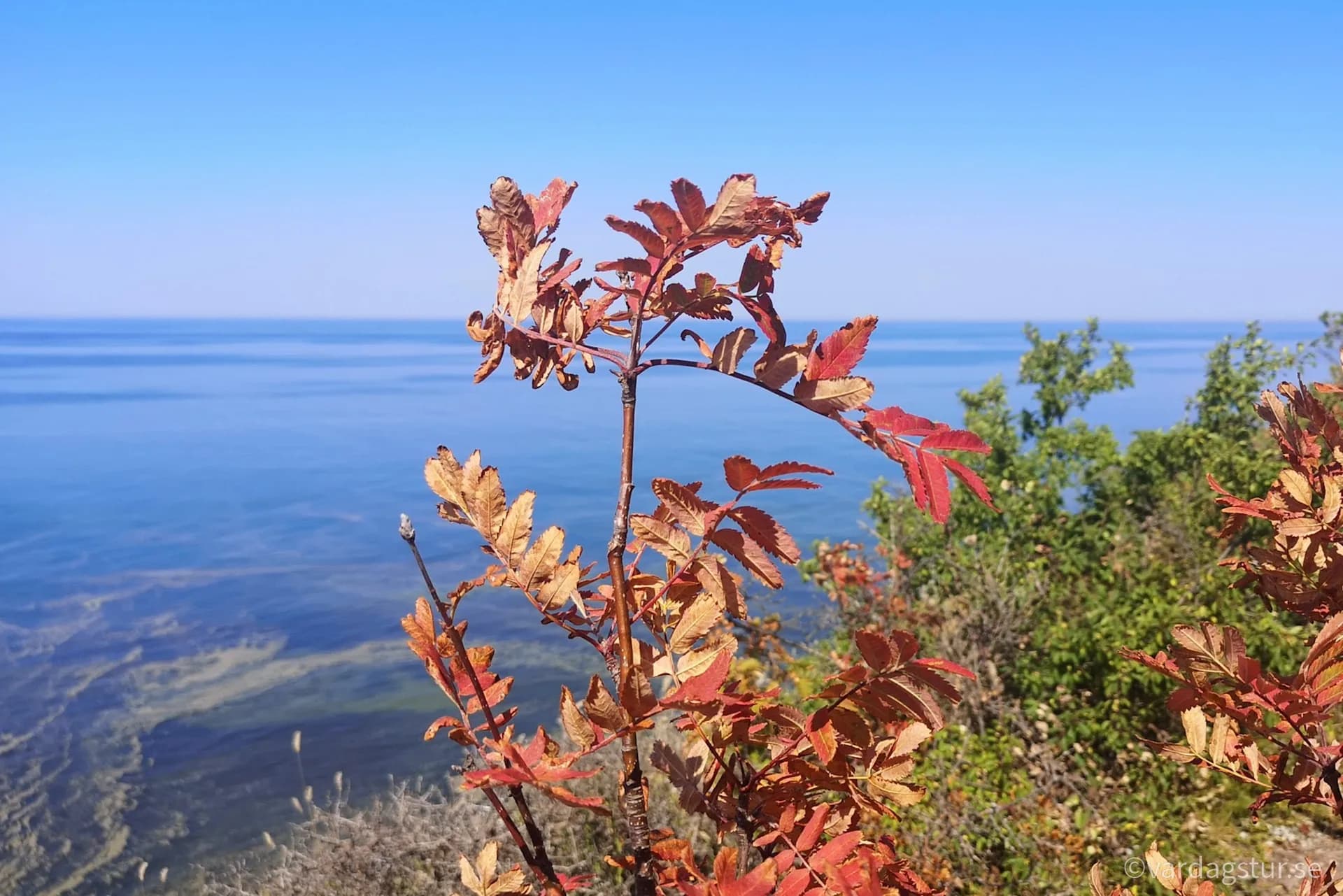 wp-1651168532764927260744687456510