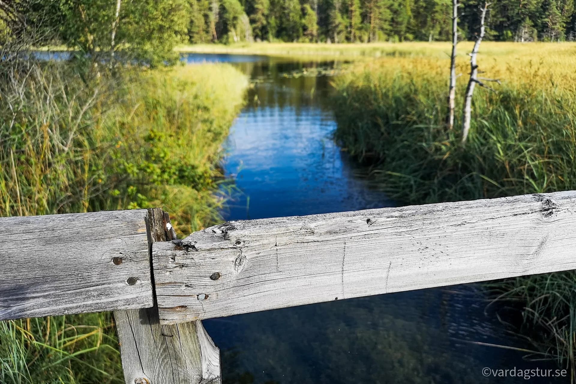 wp-16511685329277763079605712391257