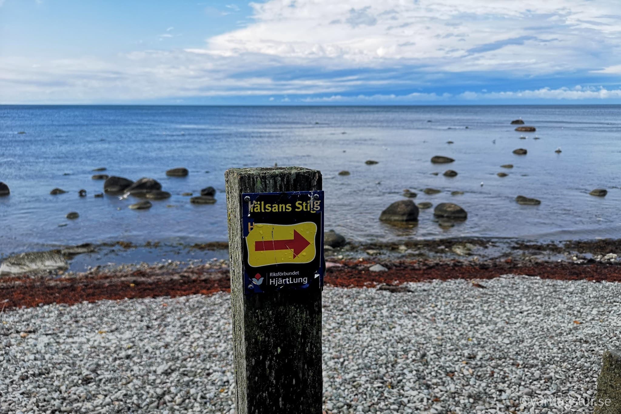 wp-16511685335124979808560068886577