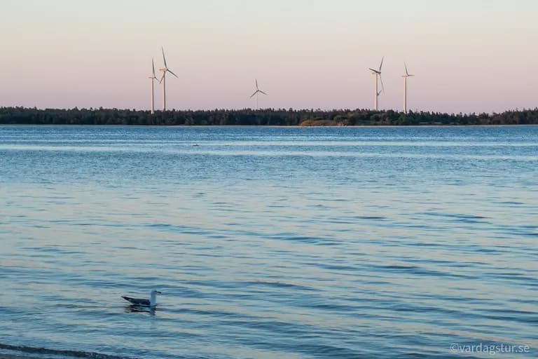 wp-16511685336722040062310078337319