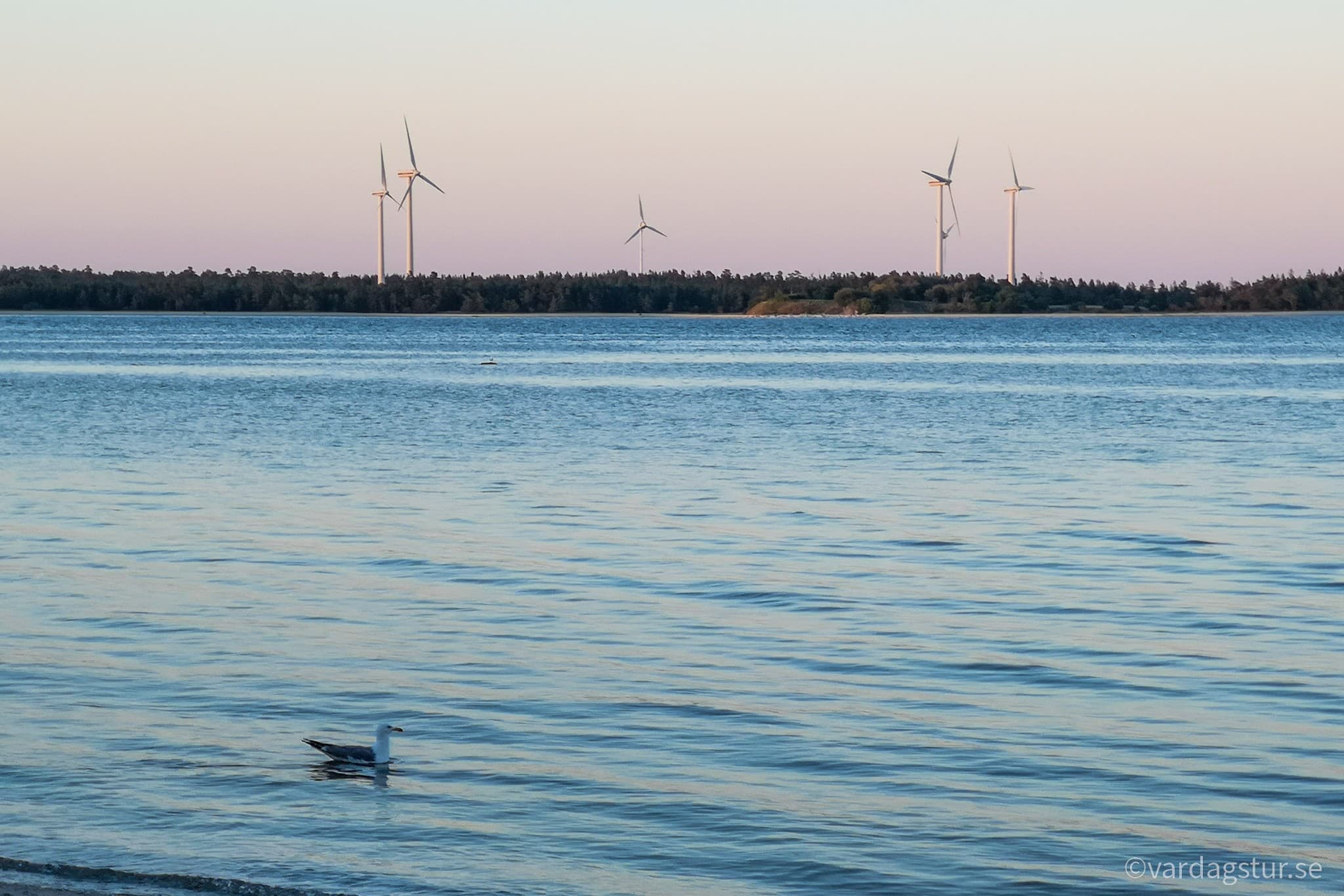 wp-16511685336722040062310078337319