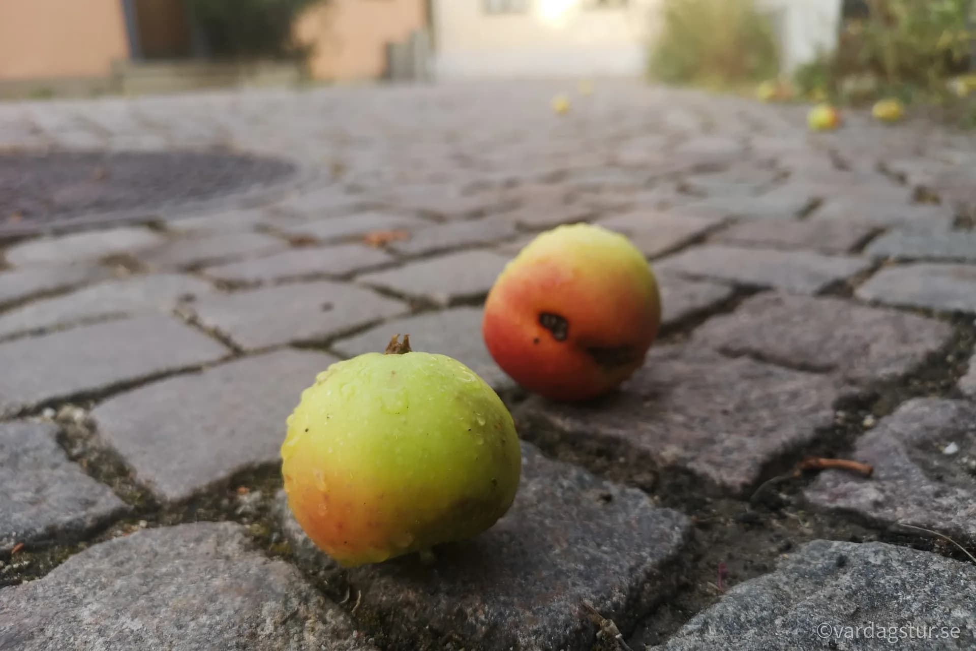 wp-1651168534236259131143853572656