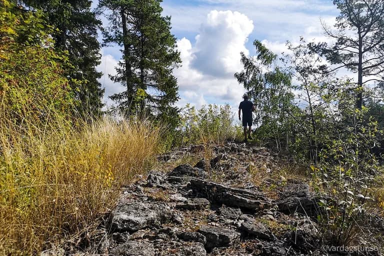 wp-16511685340097372321422026572093