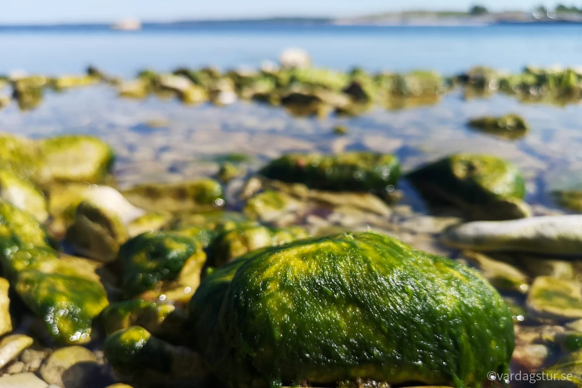 wp-16511685346256461714743421120848