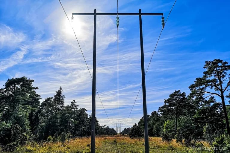 wp-16511685347601193321191691146928