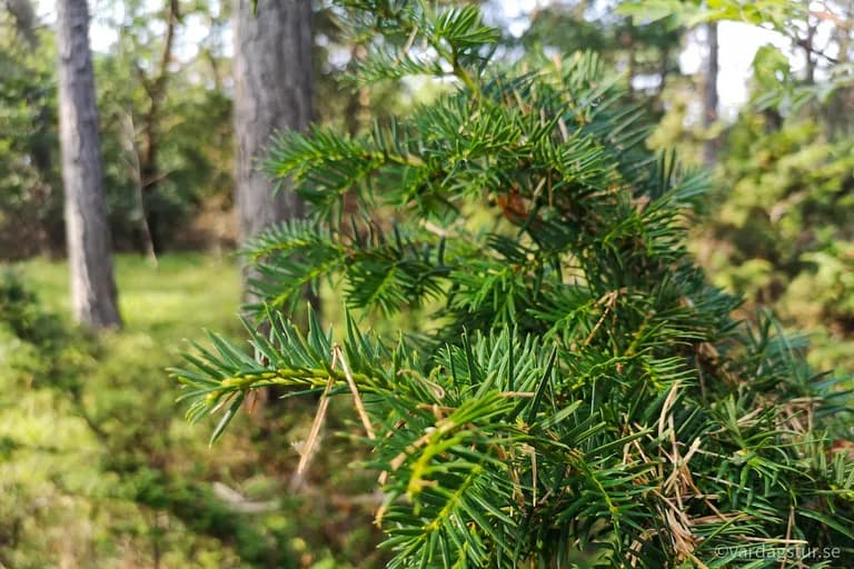 wp-16511685349289058194360038615721