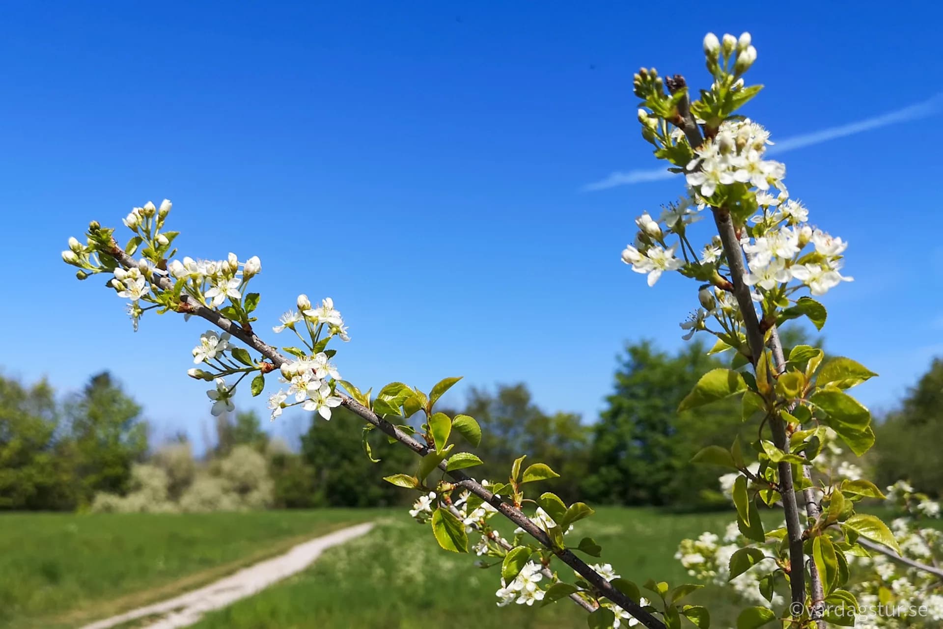 wp-16511686219637134896977734874553