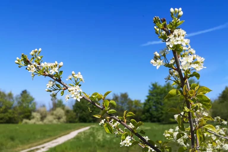 wp-16511686219637134896977734874553