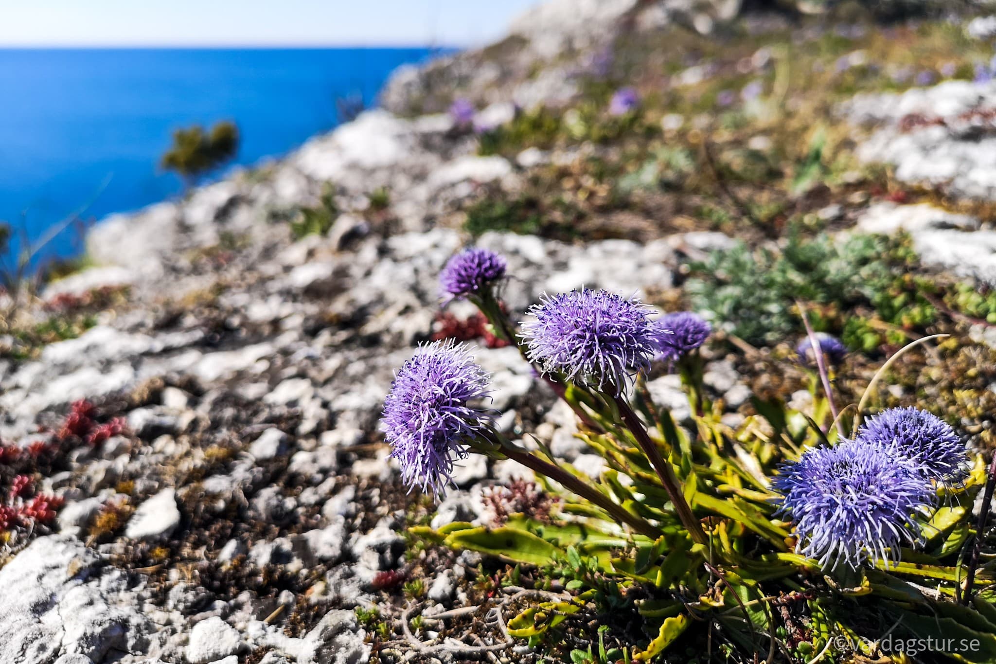 wp-16511686224657710264611099430976