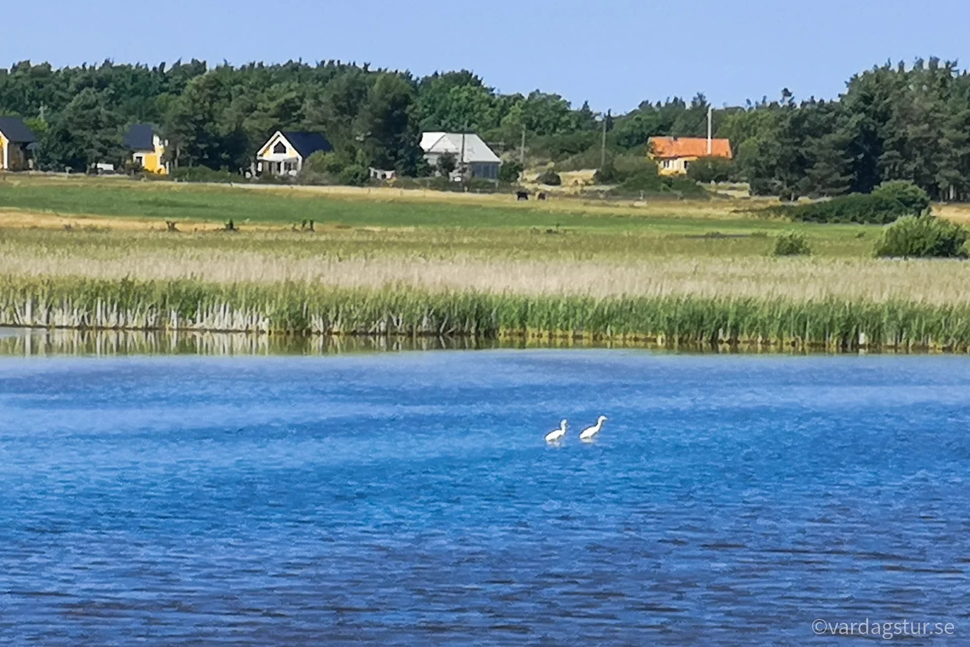 wp-16511686222724731005908860294276