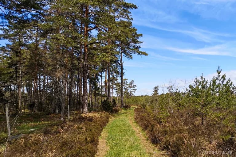 wp-1651168622672513968752886424555