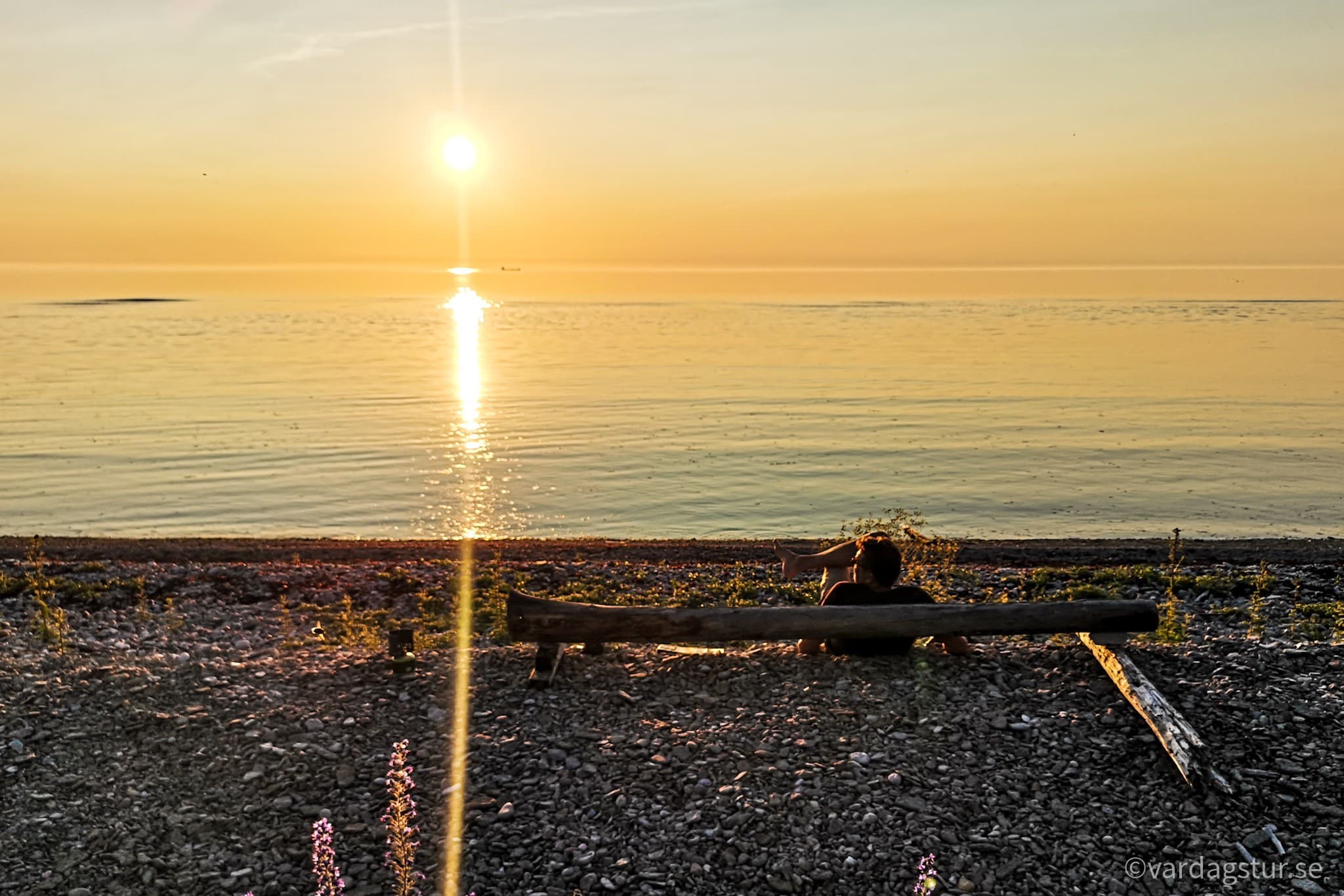 wp-16511686230808052272163124006809